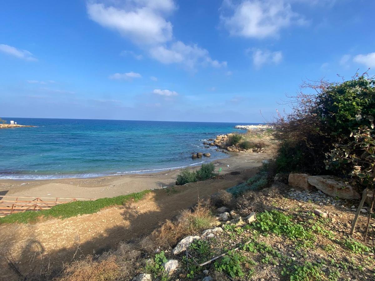 Olive Tree Villa - Protaras Exterior foto